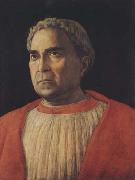 Portrait of Cardinal Lodovico Trevisano (mk08) Andrea Mantegna